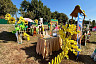 На саратовском фестивале подсолнухов раздавали угощения и сувениры
